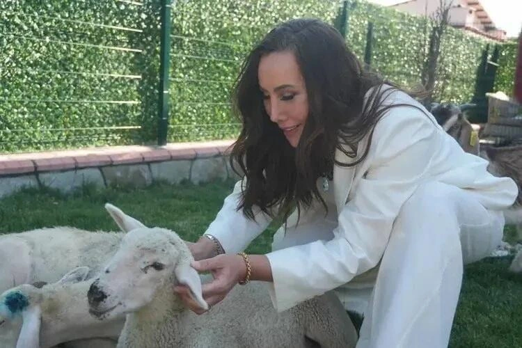 Asenanın son halı - tanımaq olmur - FOTO