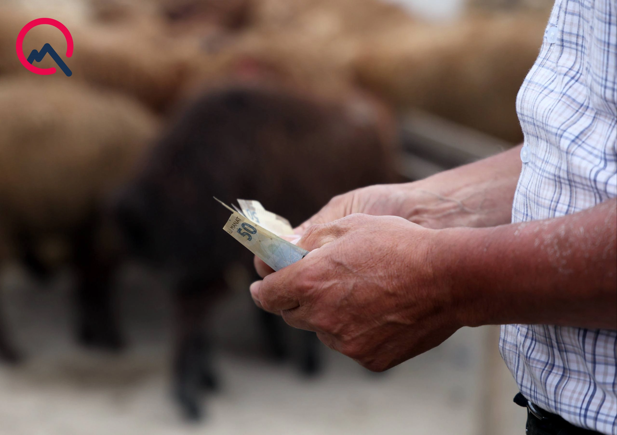 Günün qurbanları... - Fotolar