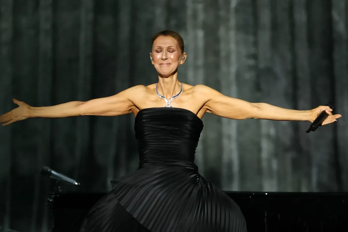 Selin Paris konsertlərindən nə qədər qazandı?