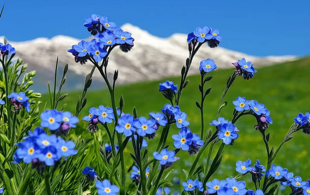 Sabahın havası açıqlandı