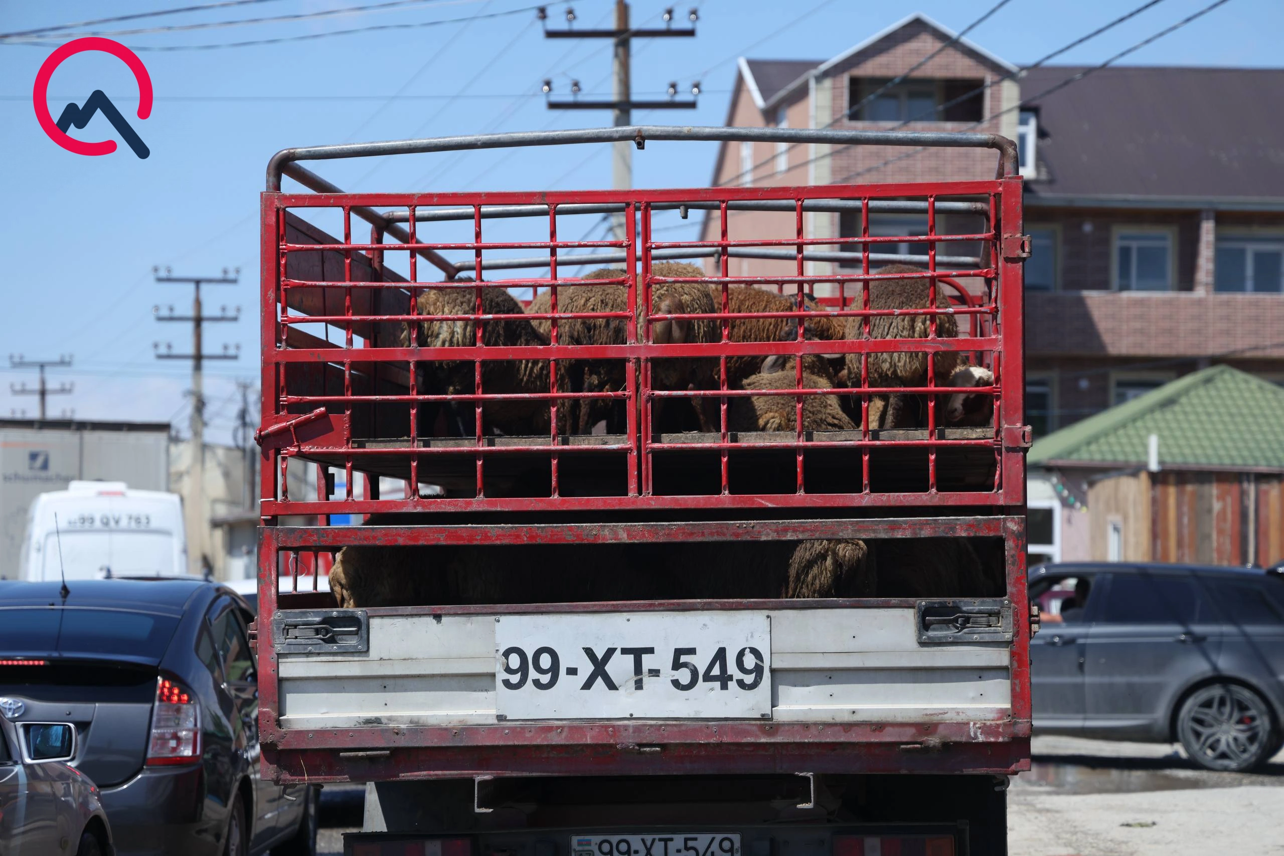 Günün qurbanları... - Fotolar