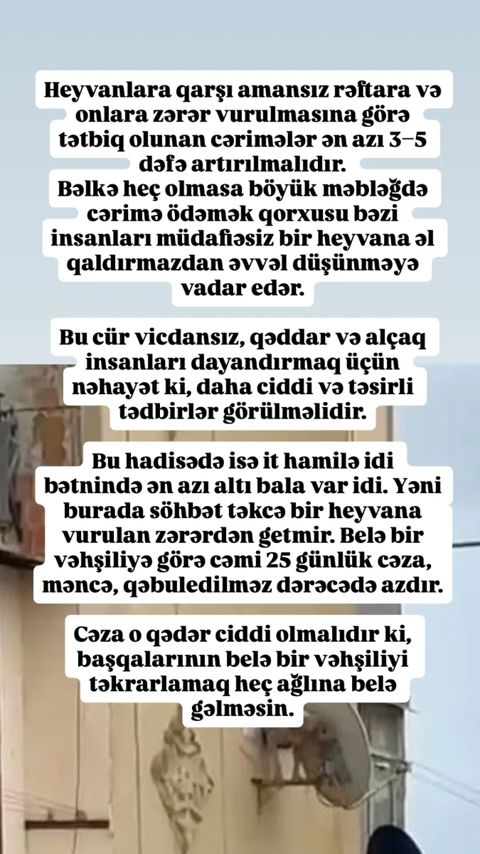 “Həmin cərimələr ən azı 3-5 dəfə artırılmalıdır”