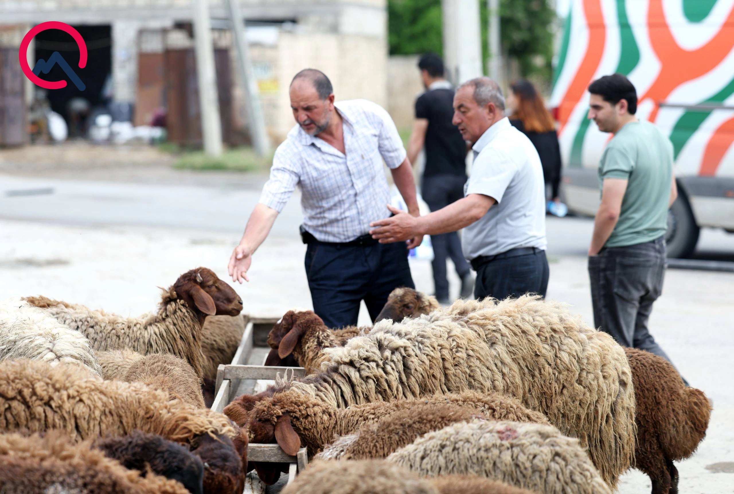 Günün qurbanları... - Fotolar