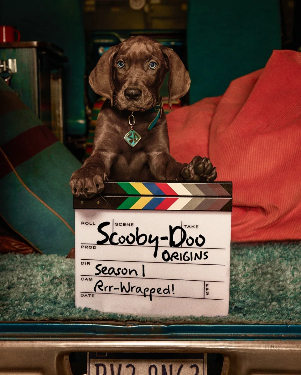 “Scooby-Doo” qayıdır!
