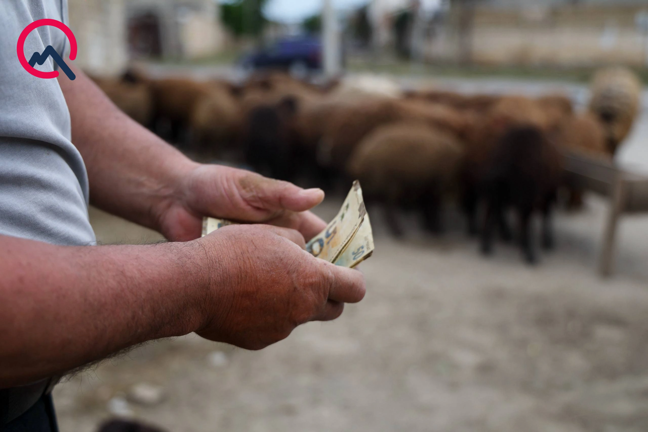 Günün qurbanları... - Fotolar
